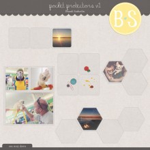 Pocket Protectors v1